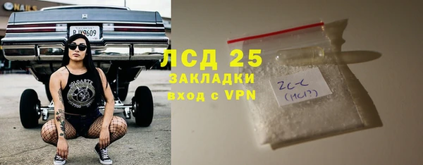 прущие грибы Дубовка